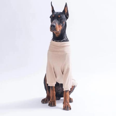 PawStar 26753- Bej TeddyWood Orta-Büyük Irk Köpek Sweatshirtü
