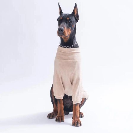 PawStar 26753- Bej TeddyWood Orta-Büyük Irk Köpek Sweatshirtü