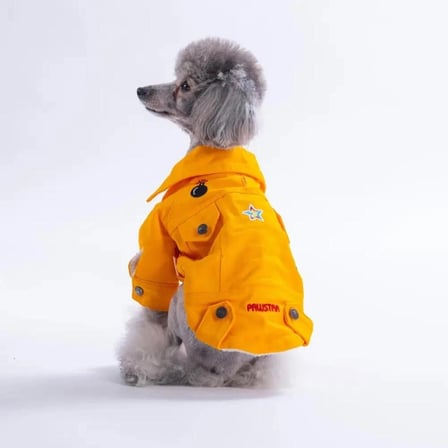 PawStar 26201- Sarı Cancun Pop Küçük Irk Köpek Ceketi