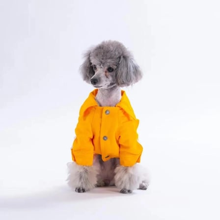 PawStar 26201- Sarı Cancun Pop Küçük Irk Köpek Ceketi