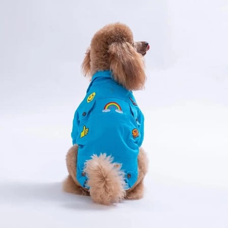 PawStar 26202- Turkuaz Cancun Pop Küçük Irk Köpek Ceketi