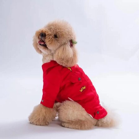 PawStar 26203-Kırmızı Cancun Pop Küçük Irk Köpek Ceketi