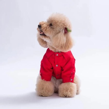 PawStar 26203-Kırmızı Cancun Pop Küçük Irk Köpek Ceketi