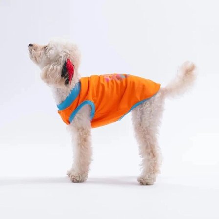 PawStar 26801 Turuncu All Good Days Tişört