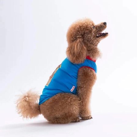 PawStar 26809 Mavi Donut Teddy Küçük Irk Köpek T-shirtü