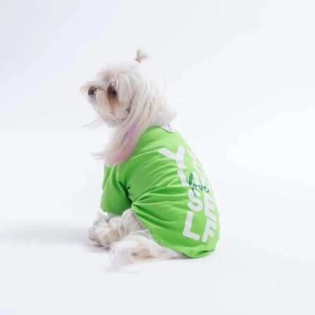 PawStar 26711 Yeşil YourSelf Love Sweat