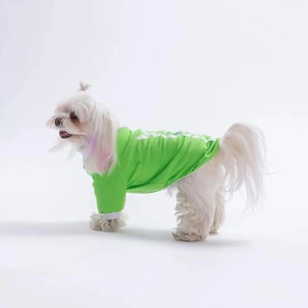 PawStar 26711 Yeşil YourSelf Love Sweat