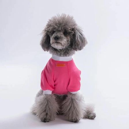 PawStar 26712 Pembe YourSelf Love Sweat