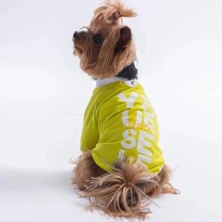 PawStar 26713 Sarı YourSelf Love Sweat