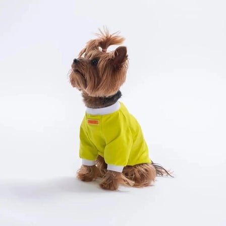 PawStar 26713 Sarı YourSelf Love Sweat