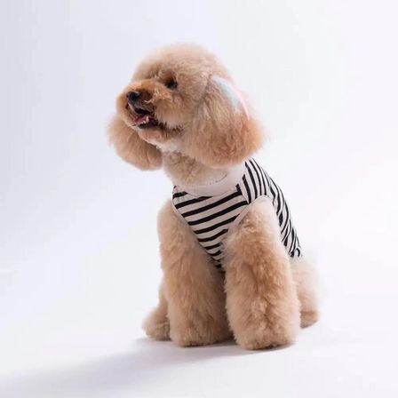 PawStar 26814 Sunrise EmbroLine Tişört