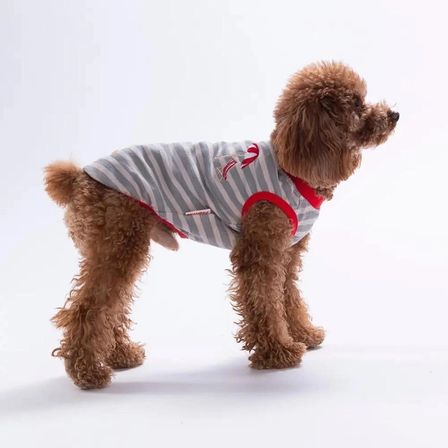 PawStar 26817 Umbrella EmbroLine Tişört