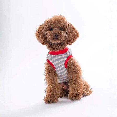 PawStar 26817 Umbrella EmbroLine Tişört