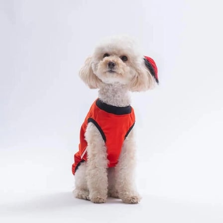 PawStar 26825 Kırmızı Just Smile Tişört