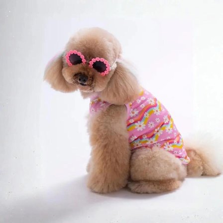 PawStar 26827 Daisy Tişört