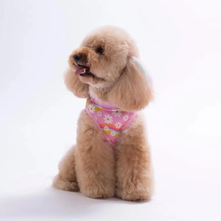 PawStar 26827 Daisy Tişört