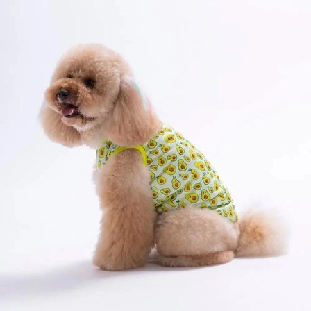 PawStar 26832 Avocado Tişört