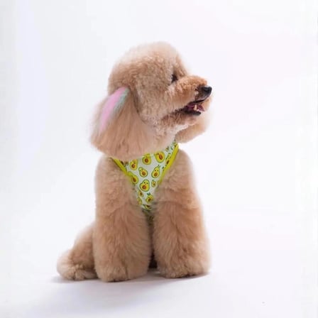 PawStar 26832 Avocado Tişört