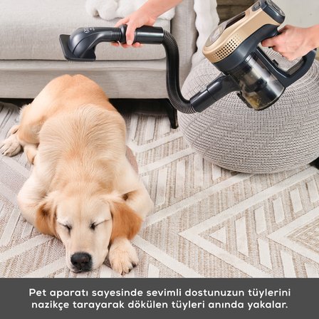 Karaca Vantuz Power Up Pro Dikey Süpürge Mineral Gold