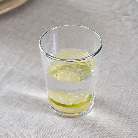 Karaca Akroma Transparent Su Bardağı 435 ml Platin
