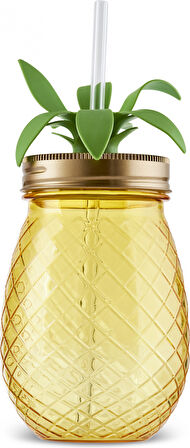 Karaca Ananas Transparent Pipetli Su Şişesi 550 Ml
