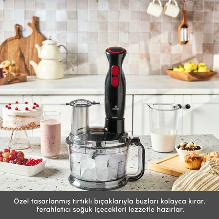 Emsan Pro Multimax 6 in 1 Çok Amaçlı Mutfak Robotu Black