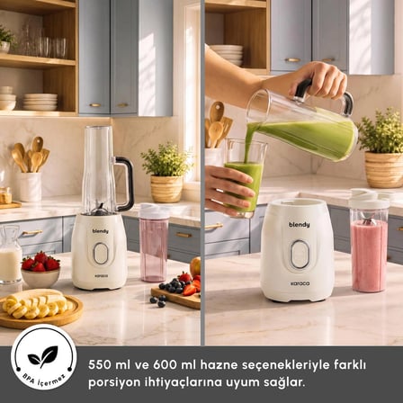 Karaca Blendy Personal Kişisel Kulplu Smoothie Blender Çift Hazneli Silver