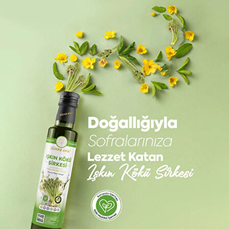 Işkın Kökü Sirkesi Doğal Fermantasyon Rheum Ribes Vinegar 500 Ml