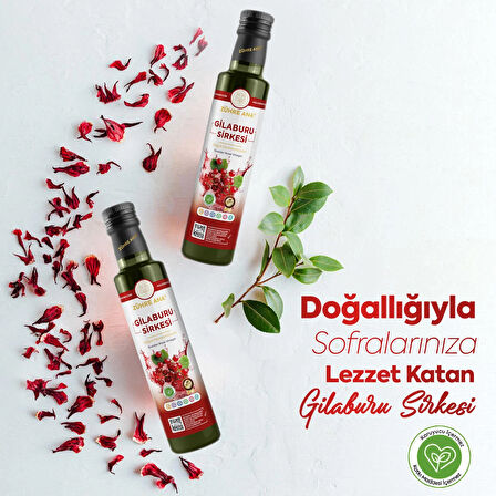 Gilaburu Sirkesi Doğal Fermantasyon Guelder Rose Vinegar 500 Ml