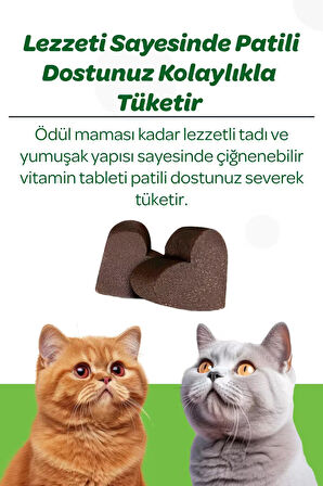 Vet's Plus Hairball Çiğnenebilir Tablet 60'lı (Malt ve Kionalı Tüy Yumağı Önleyici)