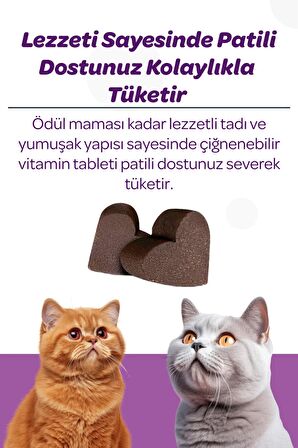 Vet's Plus Sterilised Yaban Mersinli Kısır Kediler için Urinary Destek 60'lı Çiğnenebilir Tablet