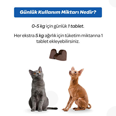 Vet's Plus Hip&Joint 60'lı Kedi ve Köpekler için Eklem Destekleyici Çiğnenebilir Tablet