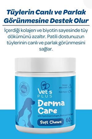 Vet's Plus Derma Care Kedi ve Köpekler için Deri ve Tüy Sağlığı Destekleyici 60'lı Çiğnenebilir Tablet