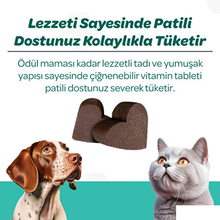 Vet's Plus Dental Çiğnenebilir Tablet 60'lı (Kedi ve Köpekler için Diş Bakımı)
