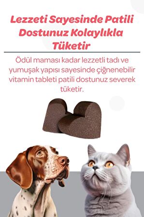 Vet's Plus Senior Kedi ve Köpekler için Inulin ve Glukozamin Desteği 60'lı Çiğnenebilir Tablet