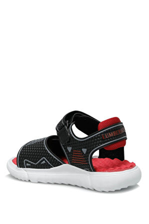 3M TIMO 3FX