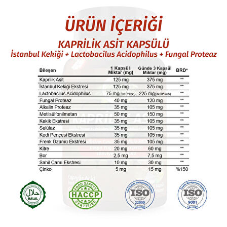 Kaprilik Asit Kapsül (CAPRYLİC ACİD CAPSULE)