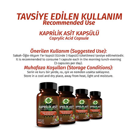 Kaprilik Asit Kapsül (CAPRYLİC ACİD CAPSULE)