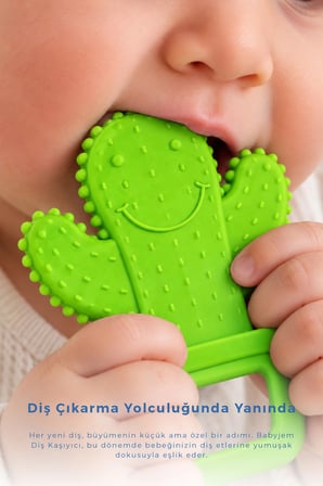 Babyjem Yumuşak Kaktüs Dişlik Diş Kaşıyıcı Açık Yeşil