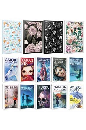 10 Stefan Zweig Ve 4 C?İc?Ekli C?İzgili Defter
-Set-1