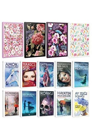 10 Stefan Zweig Ve 4 C?İc?Ekli C?İzgili Defter
-Set-2