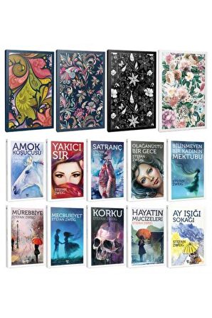 10 Stefan Zweig Ve 4 C?İc?Ekli C?İzgili Defter
-Set-3