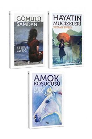 Stefan Zweig 3 Kitap Bir Arada -6