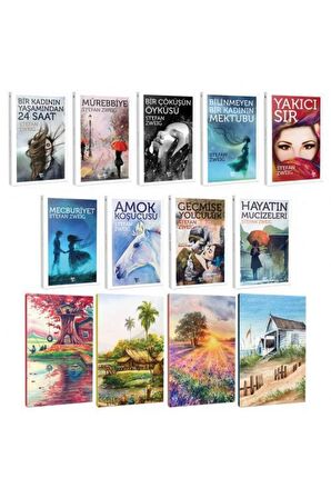 Stefan Zweig 9 Kitap Bir Arada Ve 4 Defter -3