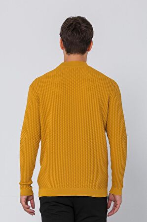 Erkek Regular Fit Düz Renk Balıkçı Yaka Boğazlı Uzun Kollu Triko Kazak