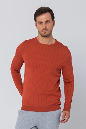 Erkek Regular Fit Düz Renk Bisiklet Yaka Uzun Kollu Çizgili Triko Kazak