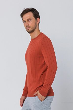 Erkek Regular Fit Düz Renk Bisiklet Yaka Uzun Kollu Çizgili Triko Kazak