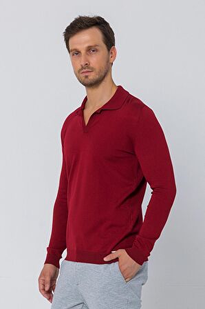 Erkek Regular Fit Düz Renk Polo Kaleci Yaka Uzun Kollu Triko Kazak