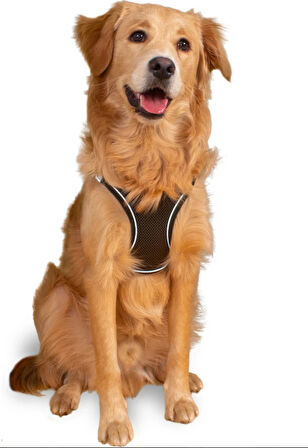 Mita Air Mesh Kedi Köpek Göğüs Tasması Çift Reflektörlü, Terletmeyen Haki / Khaki