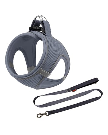 Mita Air Mesh 2'li Bundle Set Kedi Köpek Göğüs Tasması + Köpek Gezdirme Tasması/Kayışı